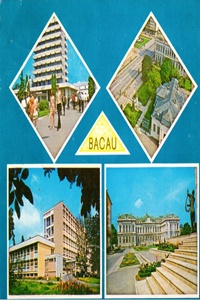 Bacau