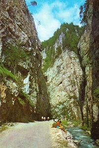 Dâmbovicioara Gorges