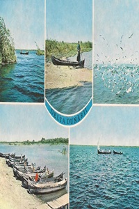 Danube Delta