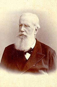 Pedro II (1831-1889)