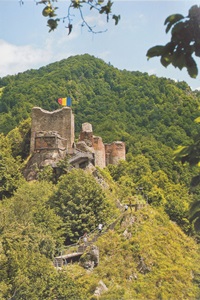 Poenari Fortress