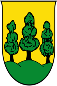 Saalfelden