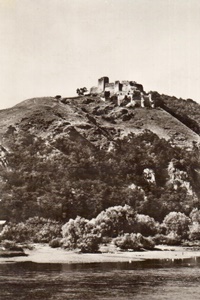 Cetatea Șoimoș