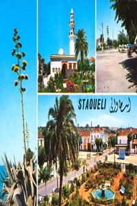 Staouéli