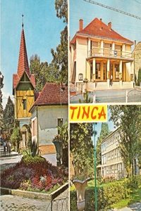 Tinca