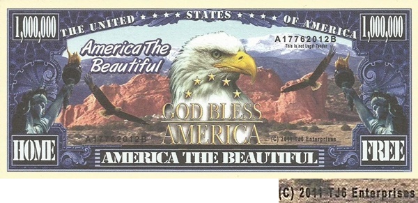 USA - TJ6 - America the beautiful