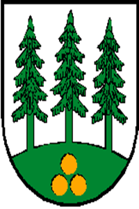 Wald im Pinzgau