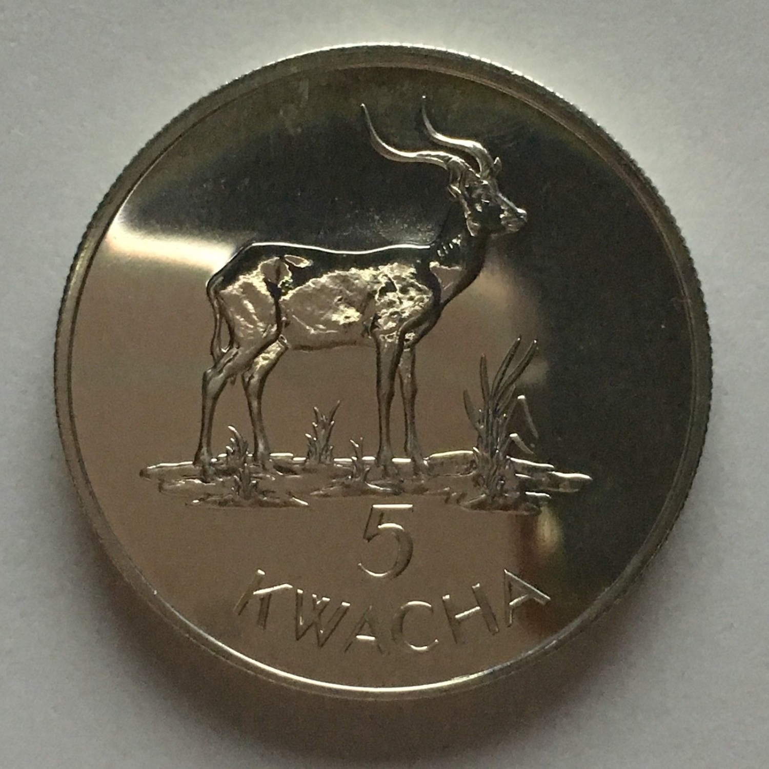 1979 Zambia 5 Kwacha Silver Coin. World Wildlife Fund Conservation